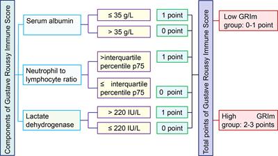 Gustave Roussy Immune Score as a Novel Prognostic Scoring System for Colorectal Cancer Patients: A Propensity Score Matching Analysis